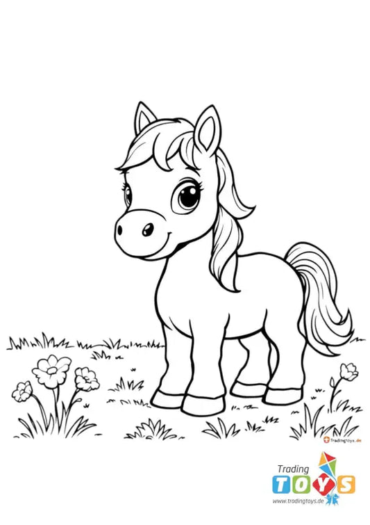 Ausmalbild Baby Pony kostenlos ausdrucken – Süßes Fohlen Malvorlage - TradingToys.de 1