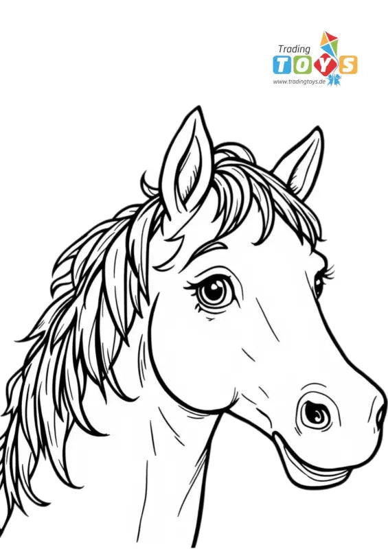 Ausmalbild Pferd Portrait – Kostenlos Ausdrucken | Malvorlage - 1