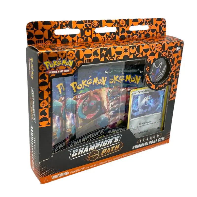 Pokemon Champions Path Pin Collection Hammerlocke Gym - 1