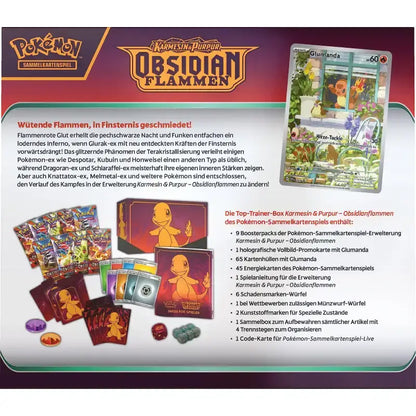 Pokémon Top-Trainer-Box Obsidianflammen kaufen – 9 Boosterpacks - 2