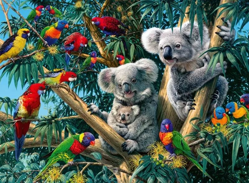 Ravensburger Puzzle Koala spielzeug online kaufen - 1